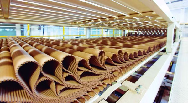 industria papelera y del cartón